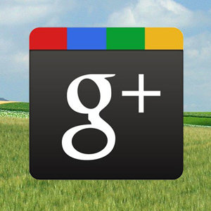 Could Google+ be the first prominent open social network? | VentureBeat