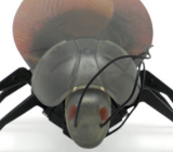 Unleash your playful side with the iBug [VB Store] | VentureBeat