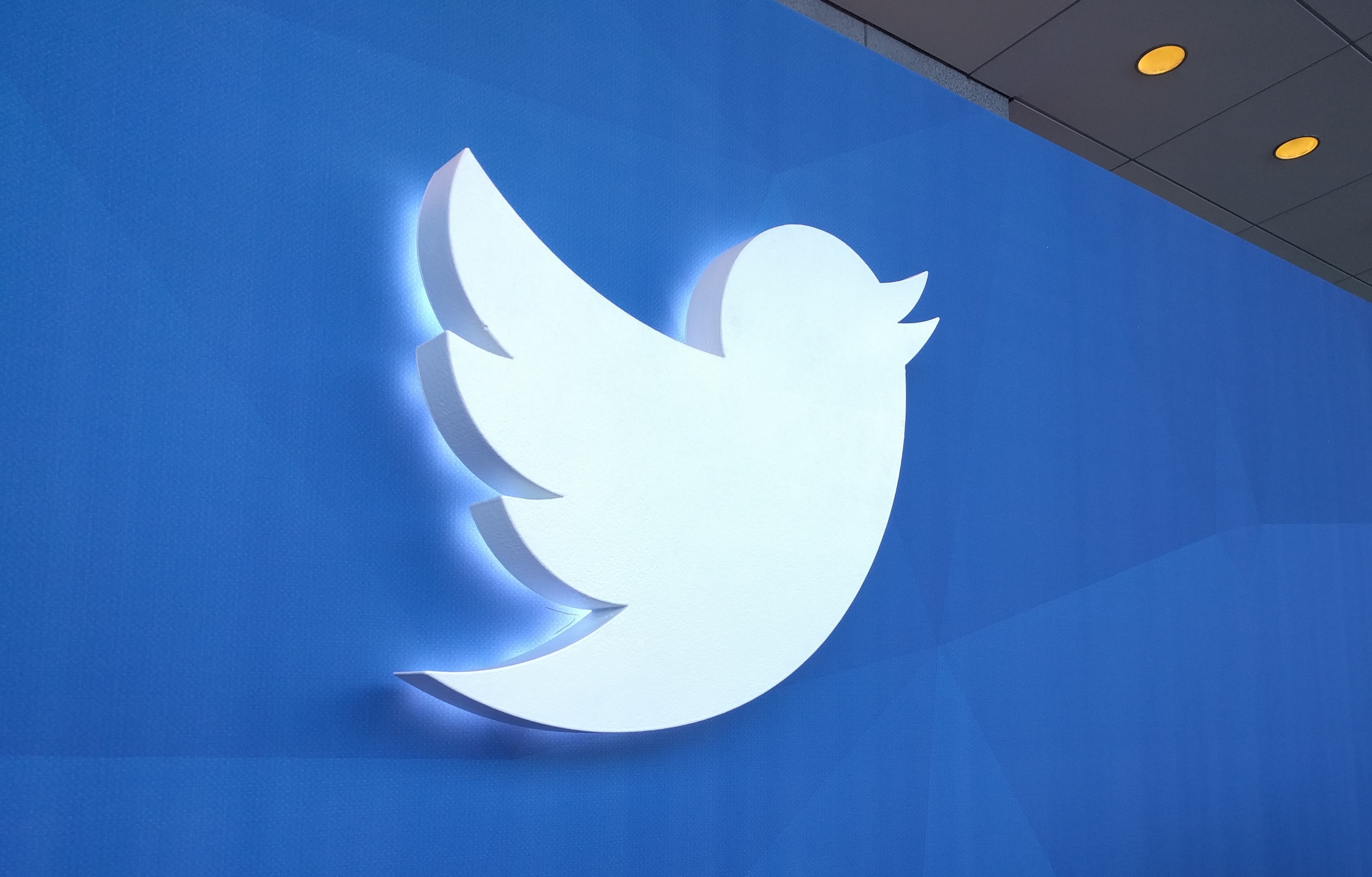Twitter expands GIF size limit to 15MB, but only for the web | VentureBeat